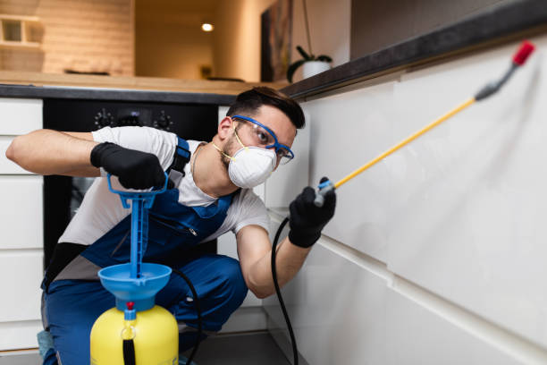 Best Wasp Removal Services  in Throop, PA