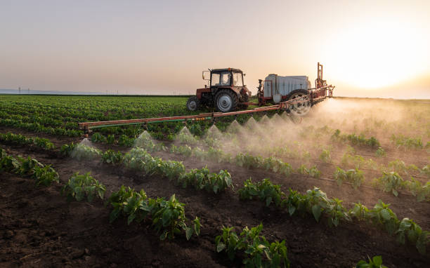 Reliable Throop, PA Pest Control Solutions