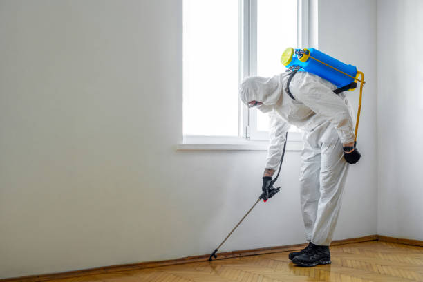 Best Pest Control for Homes  in Throop, PA