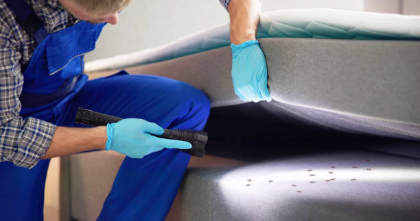 Best Pest Control Near Me  in Throop, PA