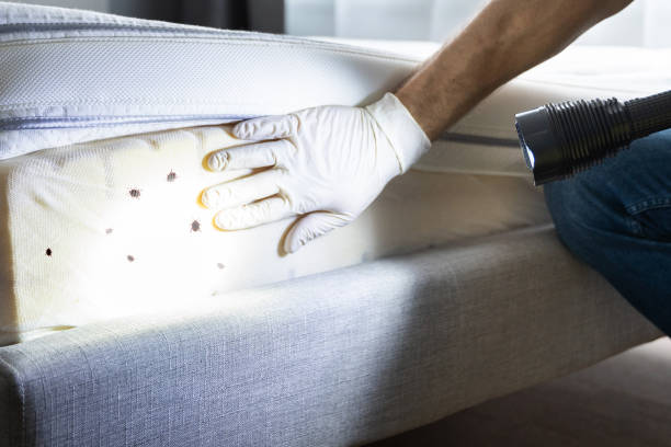 Pest Prevention Services in Throop, PA